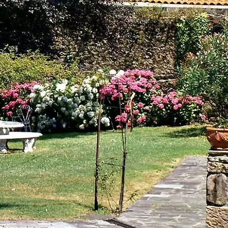 El Hidalgo De 3* Quijas